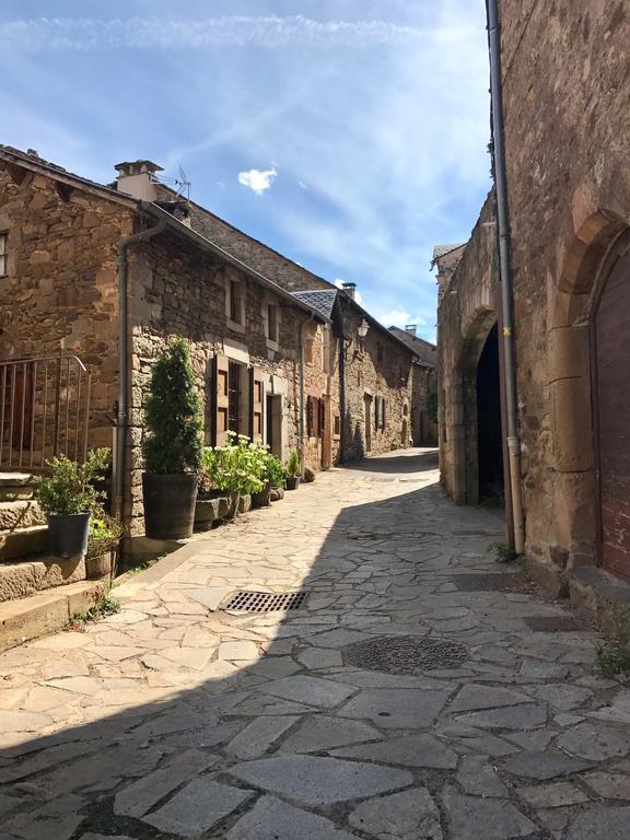 La Petite Maison Des Artistes Castelnau-Pégayrols Pokoj fotografie